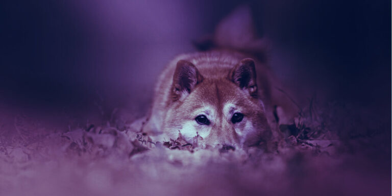 Binance Lists Dogecoin Rival SHIB, But CEO CZ Warns It Is ...