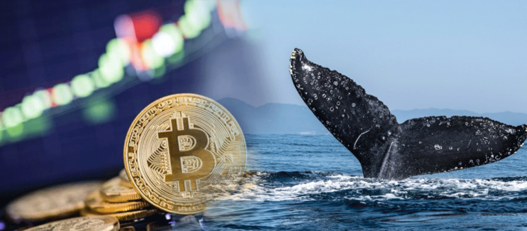 Hedge Funds And Institutional Buyers Bought Bitcoin's ...