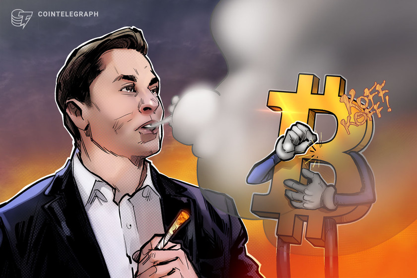 Elon Musk, Cathie Wood sound 'deflation' alarm — is Bitcoin at risk of falling below $14K?