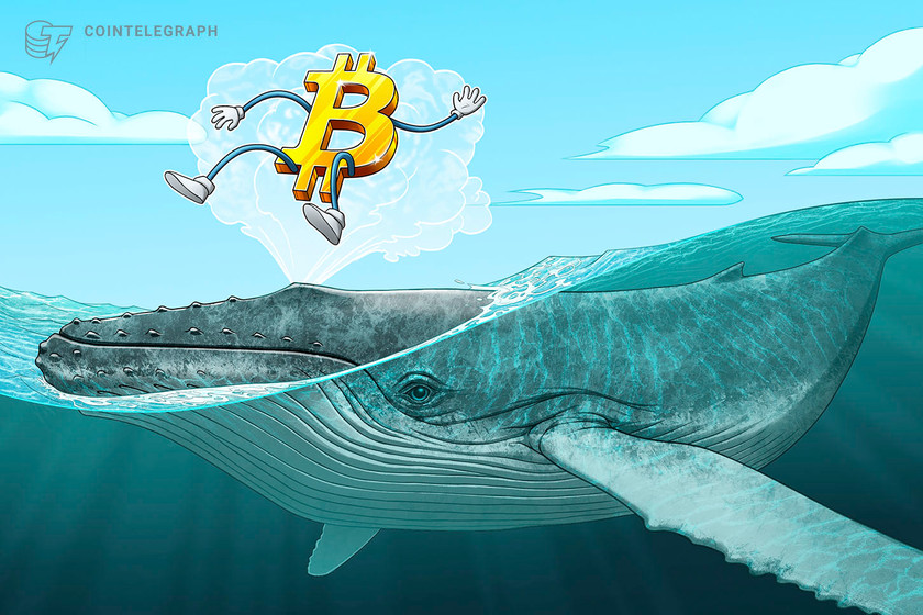 Bitcoin whales send BTC to futures exchanges in 'classic' bottom signal