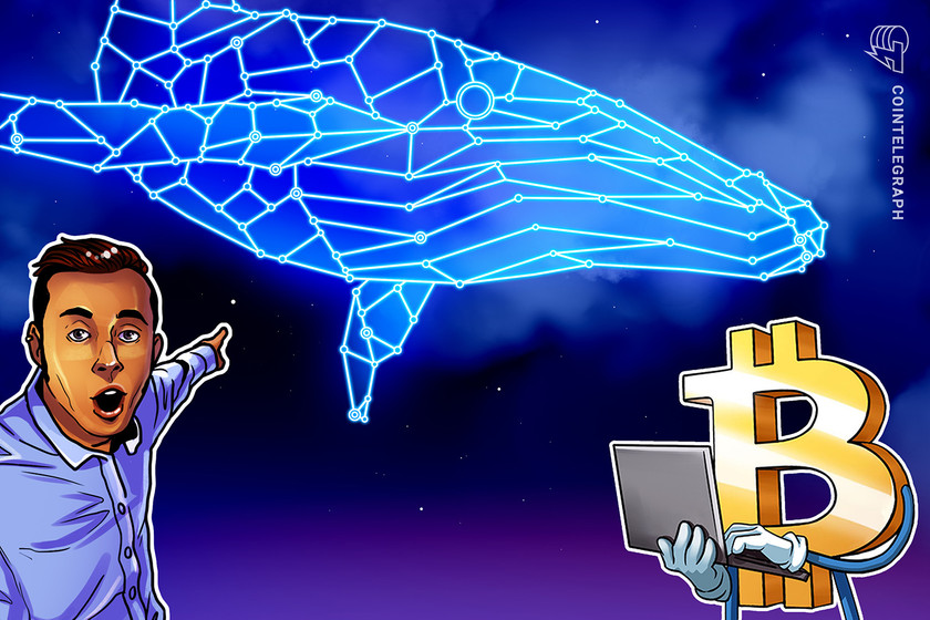 BTC whale population shrinks to early 2020 levels — 5 things to know in Bitcoin this week