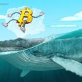 BTC price levels to watch as Bitcoin whales 'lure' market to $42K