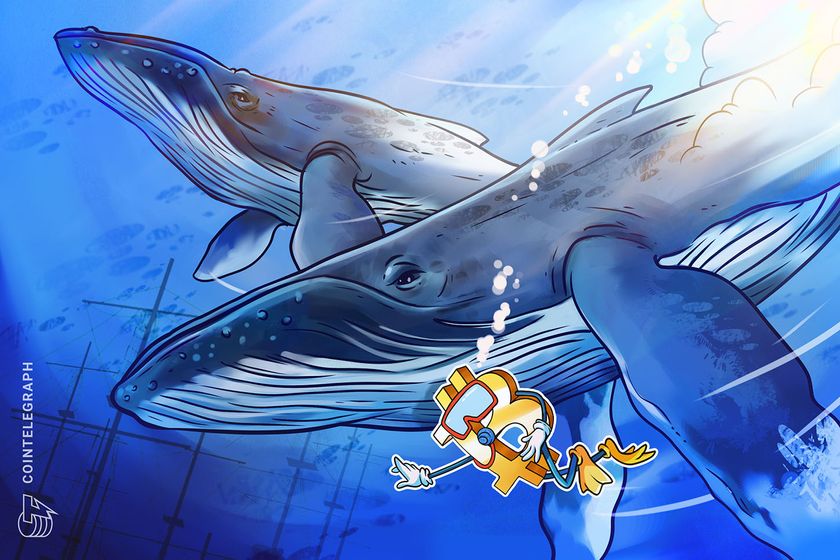 Bitcoin whales blamed as BTC price slips 2.8% after nearing $66.5K
