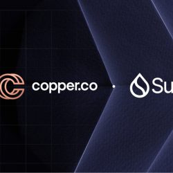 Copper & Sui partner to build out full institutional accessibility