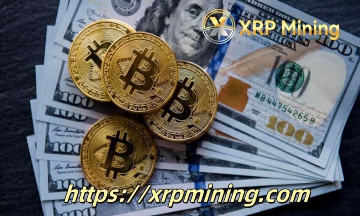 $ 14,600 in 7 days with cloud mining? This bitcoin holder shows how
