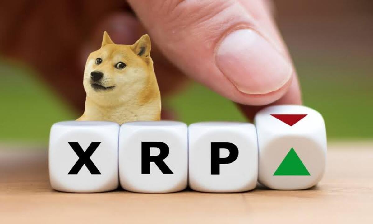 As XRP Surges, DLMining Platform Opens New High-yield Cloud Mining Opportunities For Holders