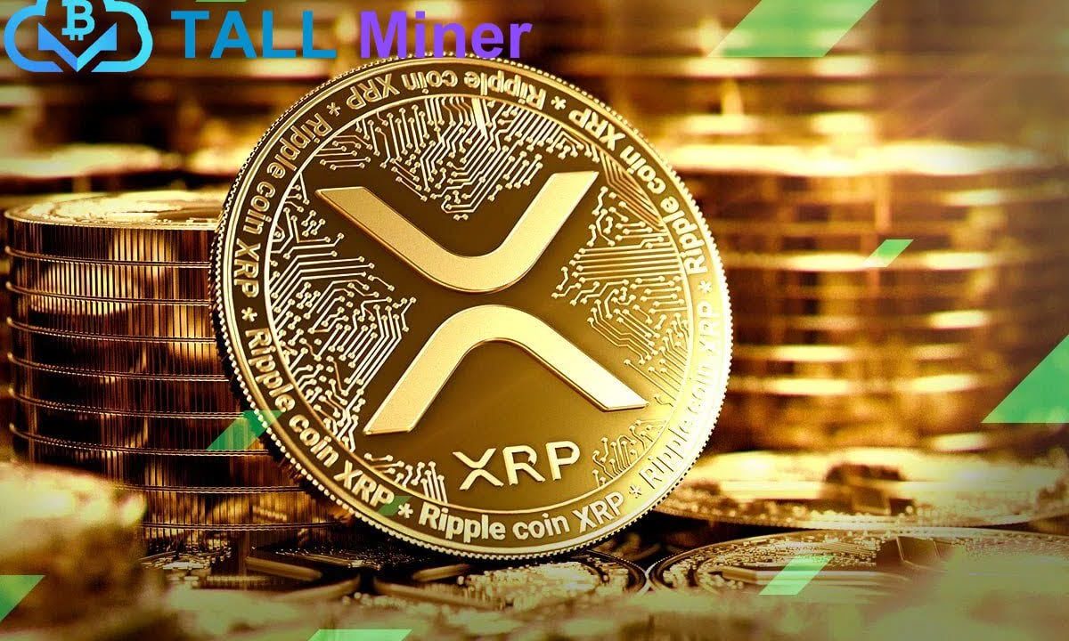 TALL Miner Cloud Contract Mining: Earn $60,000 USD per day and withdraw cash at any time