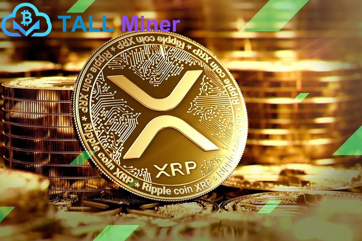 Earn ,000 USD Per Day And Withdraw Cash At Any Time
